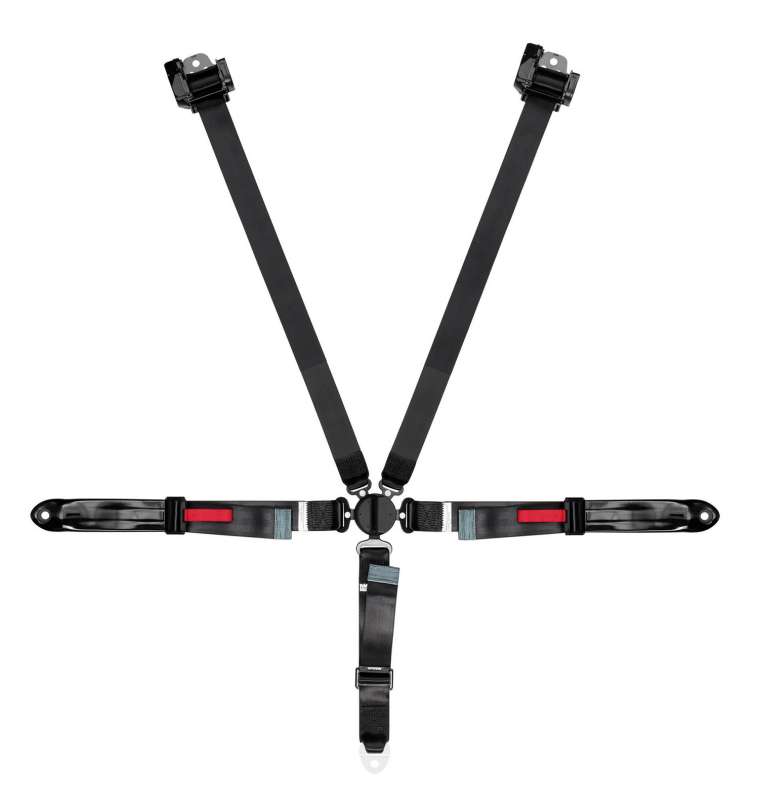 5pt automatic harness with push button buckle